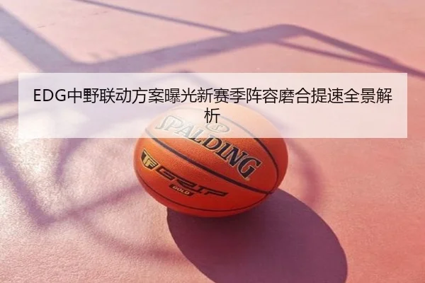 EDG中野联动方案曝光新赛季阵容磨合提速全景解析