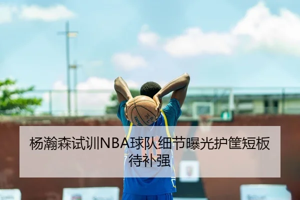 杨瀚森试训NBA球队细节曝光护筐短板待补强