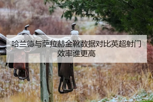 哈兰德与萨拉赫金靴数据对比英超射门效率谁更高